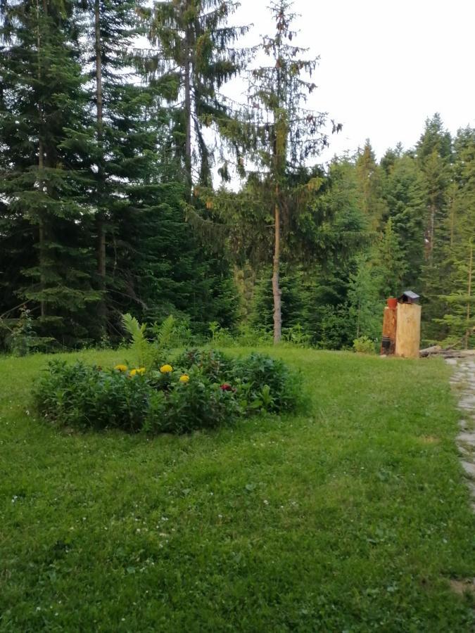 P-Zlatar, Apartman 3 Brdo Dış mekan fotoğraf